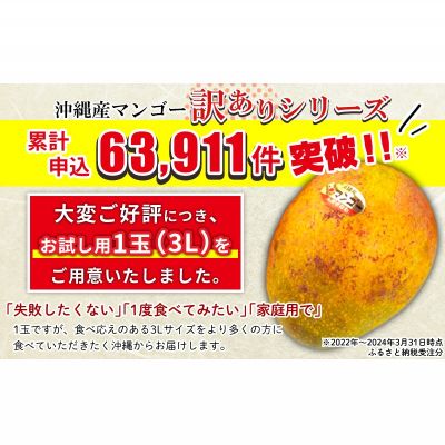 【ふるさと納税】【2024年発送】訳あり　沖縄県産　完熟マンゴー　3L（1玉）沖縄市 先行予約 数量限定 ふるさと納税　マンゴー　訳アリ フルーツ 果物 くだもの アップルマンゴー アーウィン種 冷蔵 JA 家庭用 お試し 美味しい 沖縄 3L 人気 おすすめ 限定 お取り寄せ