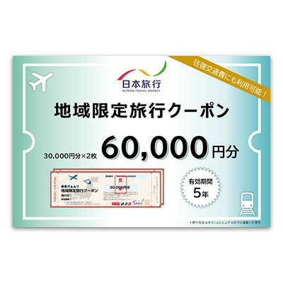 【ふるさと納税】沖縄県沖縄市　日本旅行　地域限定旅行クーポン6万円分 ホテル ビーチ グルメ スパ・エステ アートギャラリー ダイビング 琉球料理 沖縄料理 音楽ライブ パワースポット巡り ワーケーション ファミリー 沖縄旅行 エイサー 沖縄アリーナ 動物園