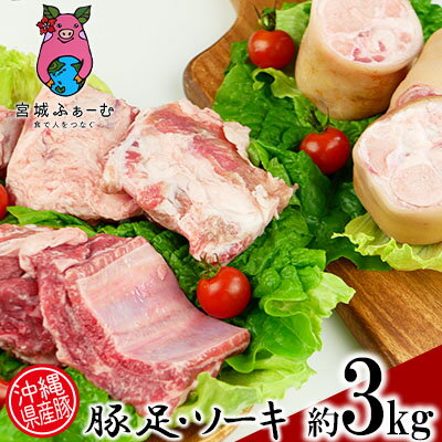 【ふるさと納税】沖縄県産豚　豚足・ソーキ（スペアリブ）3kg【 豚肉 肉 県産豚 豚足 てびち スペアリ...