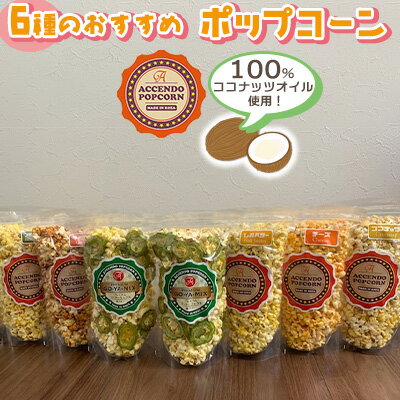 【ふるさと納税】100％ココナッツオイル使用！6種のおすすめポップコーン【 食品 加工食品 お菓子 ポップコーン 6種 オススメ 食べ比べ ゴーヤーチップス 485g サクサク ゴーヤー 苦瓜 おやつ 間食 パーティ イベント プレゼント 贈答 贈り物 ギフト 沖縄 Accendo Popcorn 】