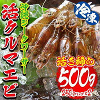 【ふるさと納税】冷凍沖縄シークワーサー活クルマエビ活き締め(500g)