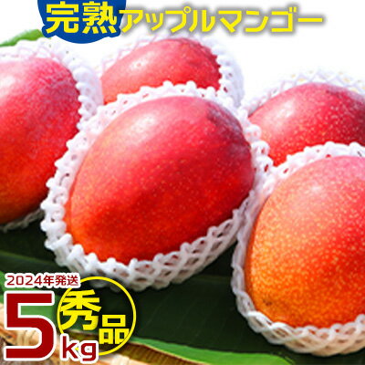 大ボリューム完熟アップルマンゴー 秀品・約5kg[2024年発送]農園から直送!