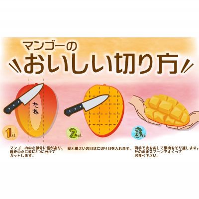 【ふるさと納税】農園一番人気の完熟アップルマンゴー　秀品・約2kg【2024年発送】農園から直送！