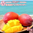 28位! 口コミ数「0件」評価「0」最高級　常夏アップルマンゴー！糖度17度以上　約5kg【2024年発送】農園から直送