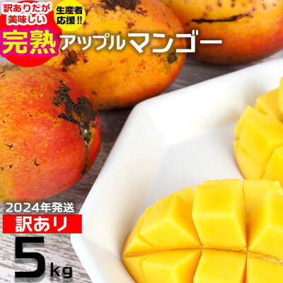 5位! 口コミ数「1件」評価「5」生産者応援！！訳ありだが美味しい完熟アップルマンゴー5kg　【2024年発送】農園直送！ 訳アリ 先行予約 沖縄 甘味 糖度 濃厚 美味しい･･･ 