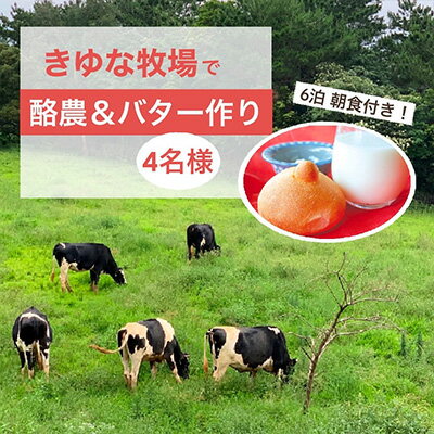 14位! 口コミ数「0件」評価「0」やんばるの自然の中で牧場体験！【6泊朝食付き】（4名様）