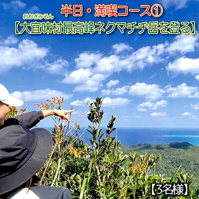 19位! 口コミ数「0件」評価「0」沖縄県北部やんばる・大宜味村最高峰ネクマチヂ岳を登る【3名様】