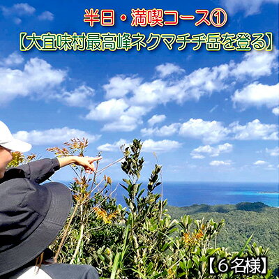 9位! 口コミ数「0件」評価「0」沖縄県北部やんばる・大宜味村最高峰ネクマチヂ岳を登る【6名様】