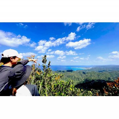 沖縄県大宜味村の画像3