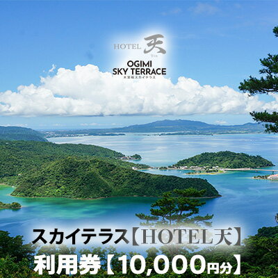 【ふるさと納税】HOTEL天　大宜味スカイテラス　利用券【10000円分】 ホテル 眺め 絶景 自然 家族 券 ...