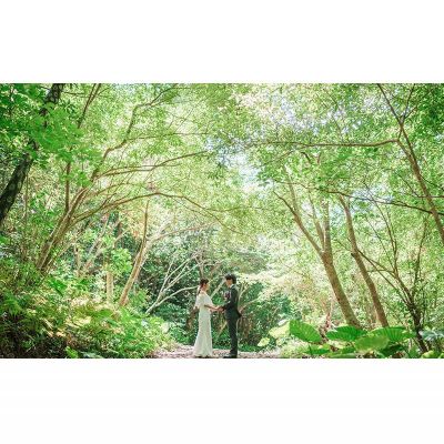沖縄県大宜味村の画像2