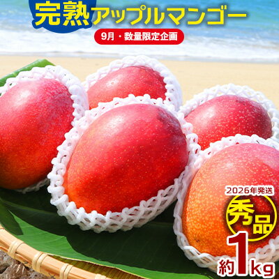 [9月・数量限定企画][2026年発送]農園一番人気の完熟アップルマンゴー秀品・約1kg農園から直送! 秀品 先行予約 沖縄 甘味 糖度 濃厚 美味しい お土産 おいしい ギフト とろける甘さ 香り アーウィン 果汁 高級 箱入り 化粧箱入り 見た目 きれい 綺麗