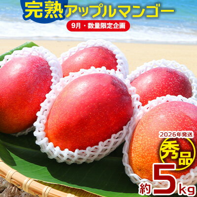 [9月・数量限定企画][2026年発送]大ボリューム完熟アップルマンゴー秀品・約5kg農園から直送! 秀品 先行予約 沖縄 甘味 糖度 濃厚 美味しい お土産 おいしい ギフト とろける甘さ 香り アーウィン 果汁 高級 箱入り 化粧箱入り 見た目 きれい 綺麗