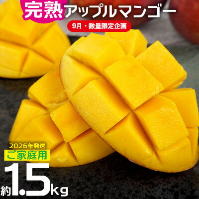 [9月・数量限定企画][2026年発送]ご家庭用でも極上に美味しい完熟アップルマンゴー約1.5kg 農園直送! 家庭用 先行予約 沖縄 甘味 糖度 濃厚 美味しい お土産 おいしい ふるさと納税 とろける甘さ 香り アーウィン 果汁 送料無料 箱入り トロピカル