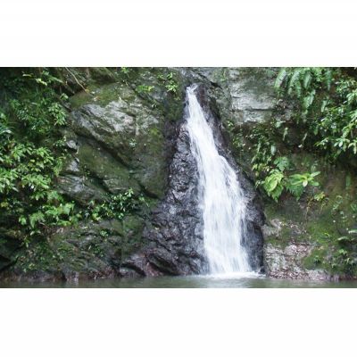 【ふるさと納税】沖縄の命水　七滝の水　500mlペットボトル（24本入り）