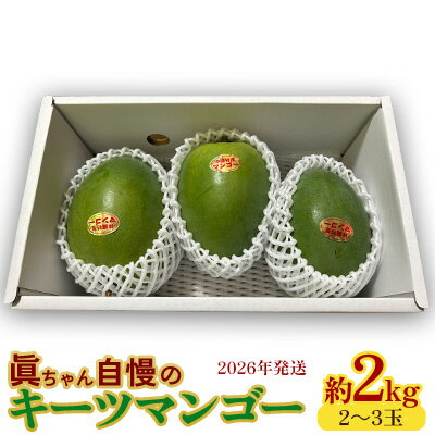 眞ちゃん自慢のキーツマンゴー 約2kg(2〜3玉)2026年発送 甘い キーツマンゴー 濃厚 マンゴー トロピカル 農家直送 希少 デザート フルーツ キーツ あまい おいしい ジューシー 南国 高級 まんごー 沖縄 国産マンゴー 沖縄県 東村