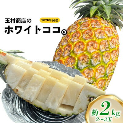 玉村商店のホワイトココ 2〜3玉(約2kg) 2026年発送 沖縄県産 東村 パイナップル ジューシー 希少 高級フルーツ 南国フルーツ 国産フルーツ 農家直送 パイン 果物 贈り物 おすすめ お土産 人気 やんばる 大自然 南国気分 沖縄本島北部