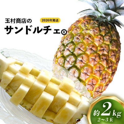 玉村商店のサンドルチェ 2〜3玉(約2kg) 2026年発送 沖縄県産 東村 パイナップル ジューシー 希少 高級フルーツ 南国フルーツ 国産フルーツ 農家直送 パイン 果物 贈り物 おすすめ お土産 人気 やんばる 大自然 南国気分 沖縄本島北部