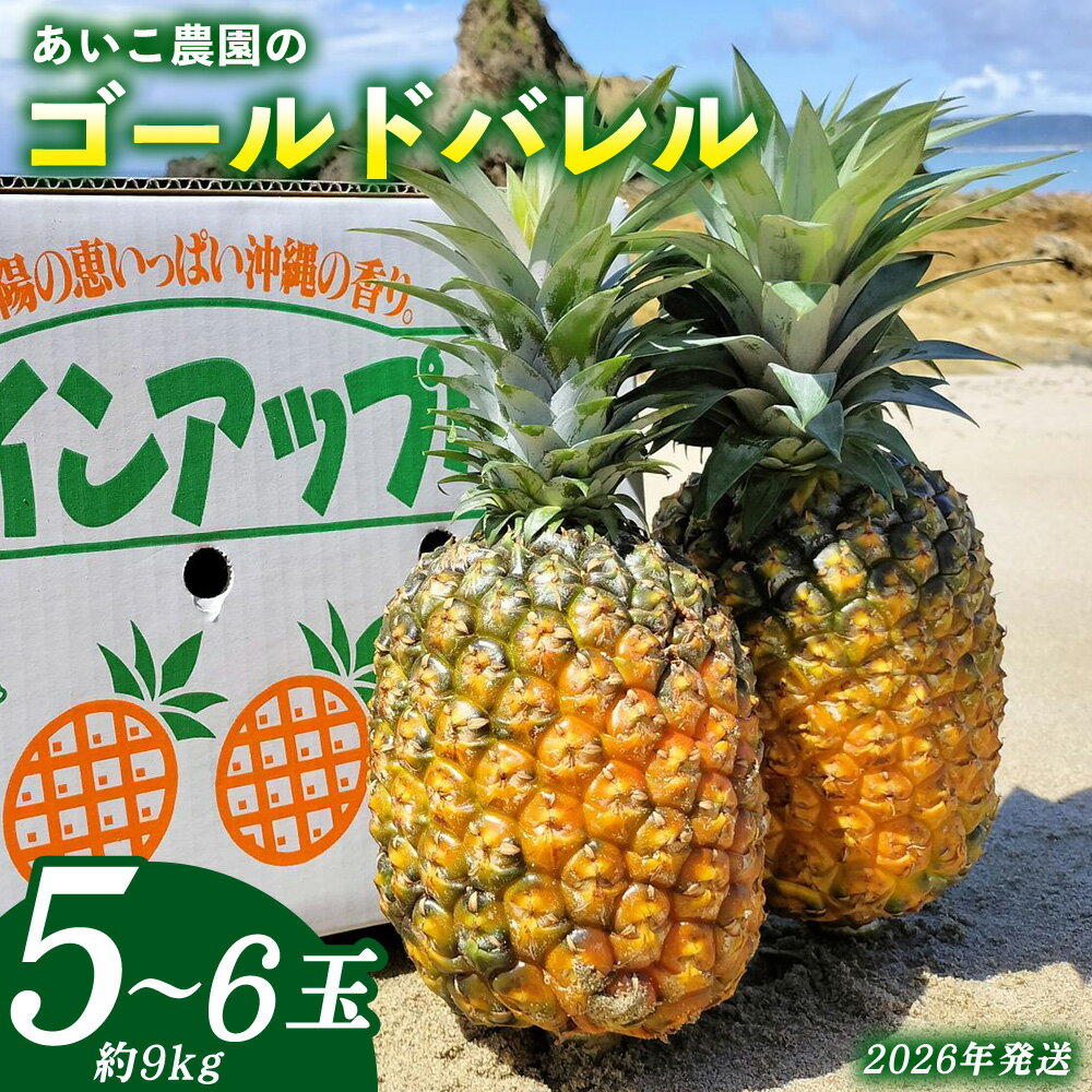 【ふるさと納税】あいこ農園のゴールドバレル 5～6玉（約9kg）多冠芽・無冠芽含む 2026年発送 沖縄県産 東村 パイナップル ジューシー 希少 高級フルーツ 南国フルーツ 国産フルーツ 農家直送 パイン 果物 贈り物 おすすめ お土産 人気 やんばる 大自然 南国気分