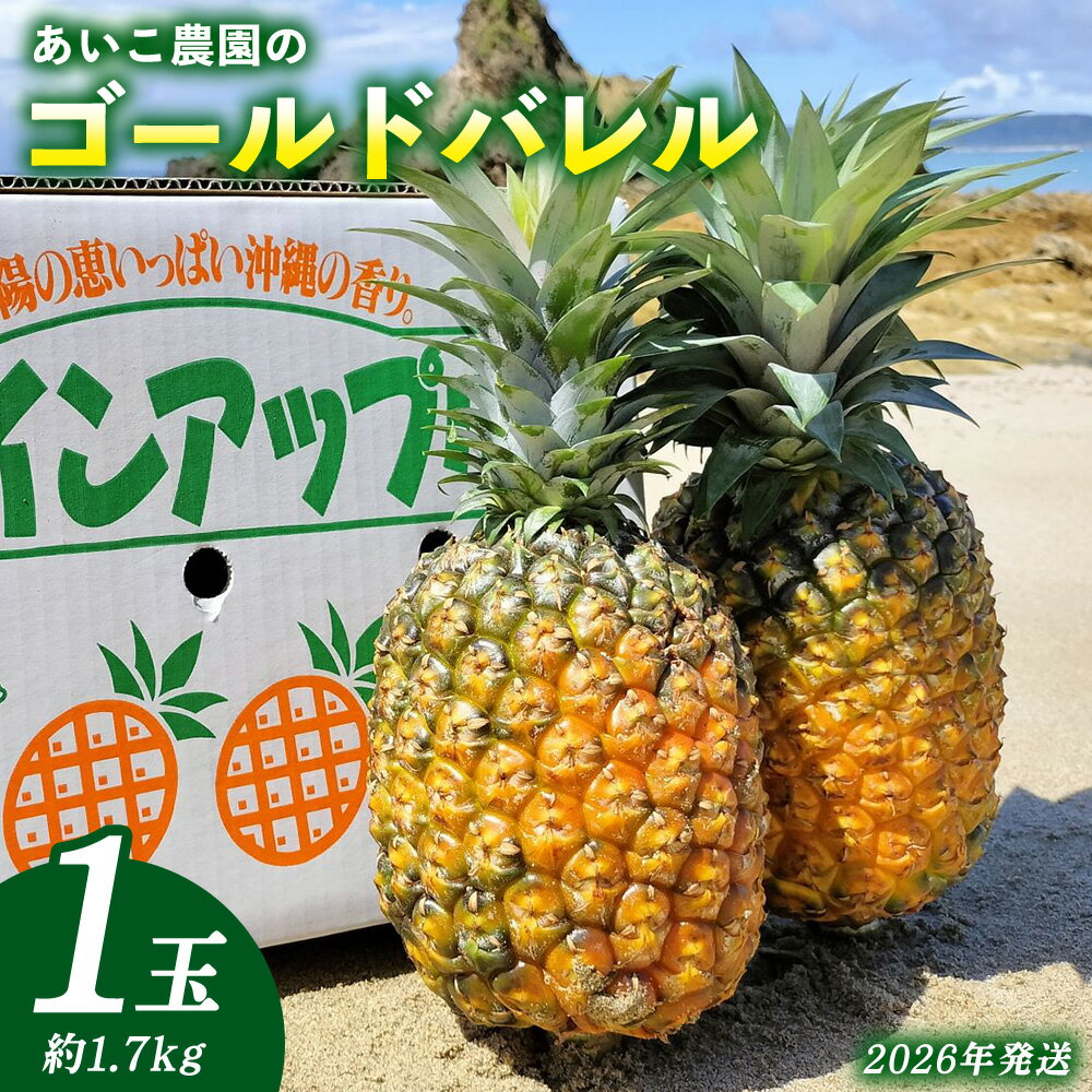 あいこ農園のゴールドバレル 1玉(約1.7kg)多冠芽・無冠芽含む 2026年発送 沖縄県産 東村 パイナップル ジューシー 希少 高級フルーツ 南国フルーツ 国産フルーツ 農家直送 パイン 果物 贈り物 おすすめ お土産 人気 やんばる 大自然 南国気分