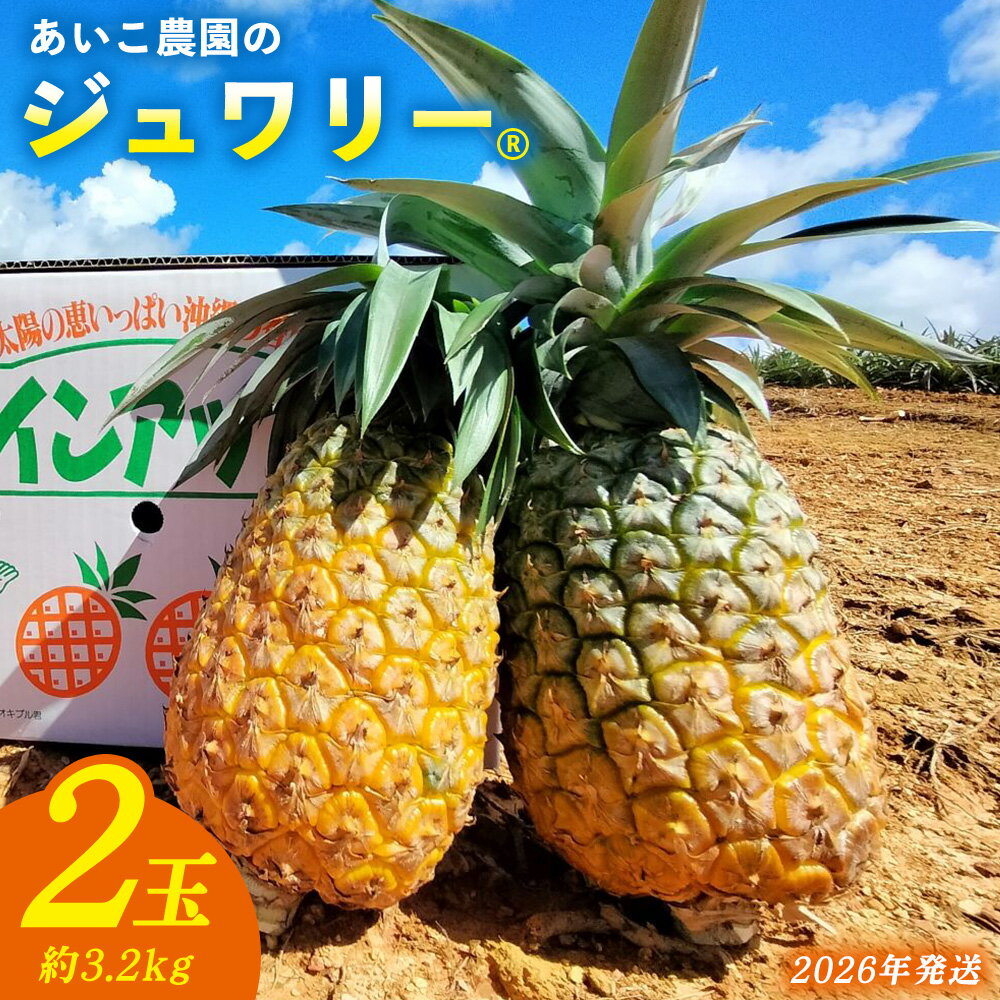 あいこ農園のジュワリー 2玉(約3.2kg) 2026年発送 沖縄県産 東村 パイナップル ジューシー 希少 高級フルーツ 南国フルーツ 国産フルーツ 農家直送 パイン 果物 贈り物 おすすめ お土産 人気 やんばる 大自然 南国気分 沖縄本島北部