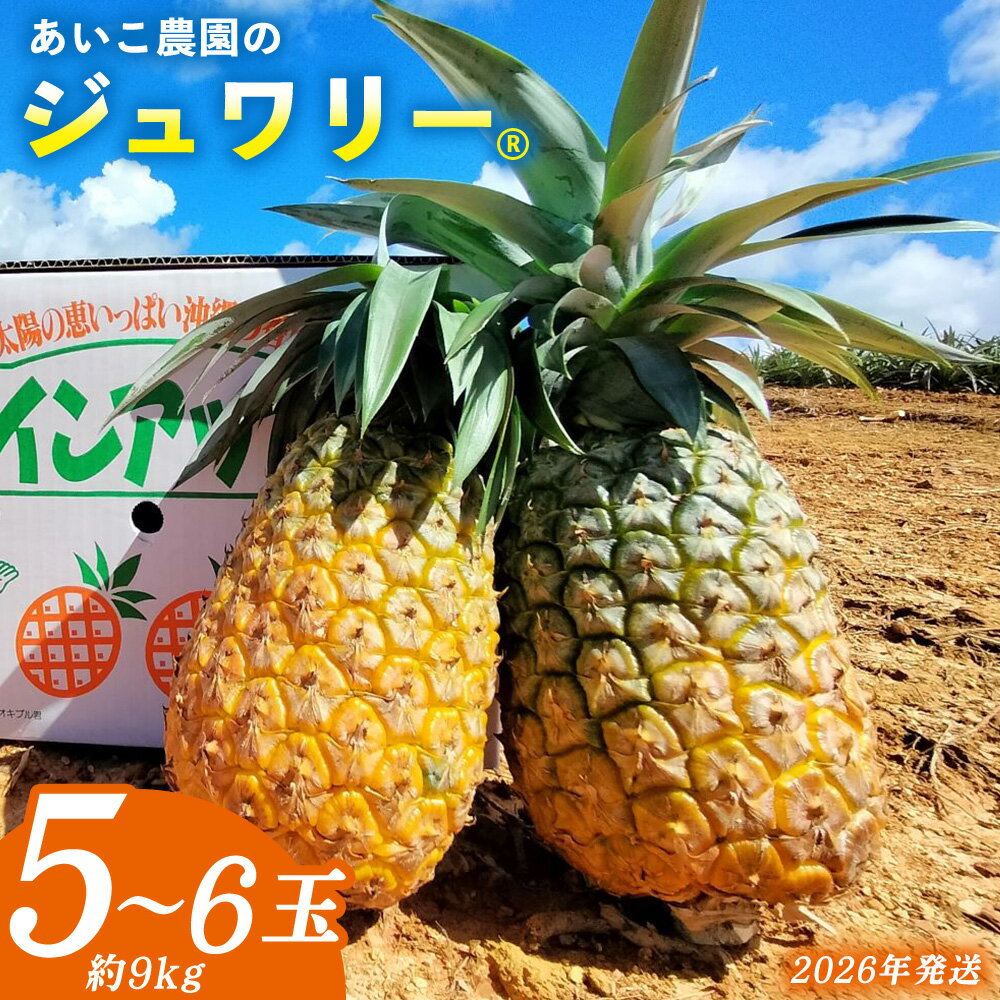 【ふるさと納税】あいこ農園のジュワリー 5～6玉（約9kg） 2026年発送 沖縄県産 東村 パイナップル ジューシー 希少 高級フルーツ 南国フルーツ 国産フルーツ 農家直送 パイン 果物 贈り物 おすすめ お土産 人気 やんばる 大自然 南国気分 沖縄本島北部