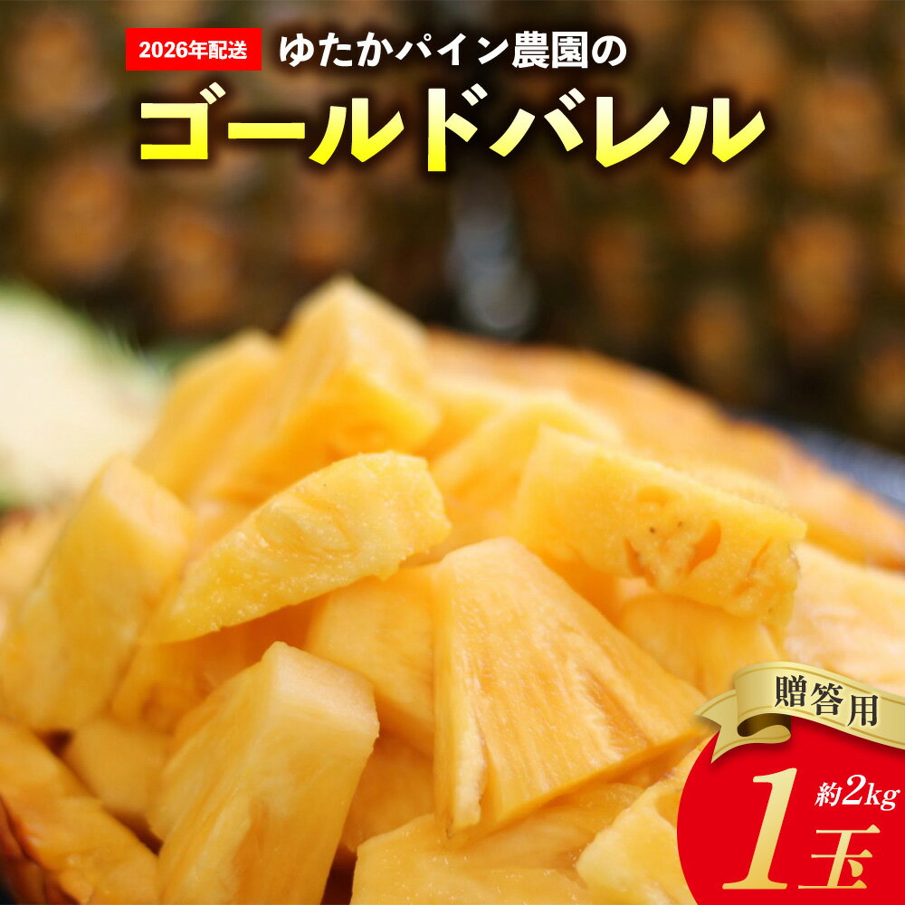 ゆたかパイン農園のゴールドバレル 1玉(贈答用)約2kg 2026年発送 沖縄県産 東村 パイナップル ジューシー 希少 高級フルーツ 南国フルーツ 国産フルーツ 農家直送 パイン 贈答用 贈り物 おすすめ お土産 人気 やんばる 大自然 南国気分 沖縄本島北部