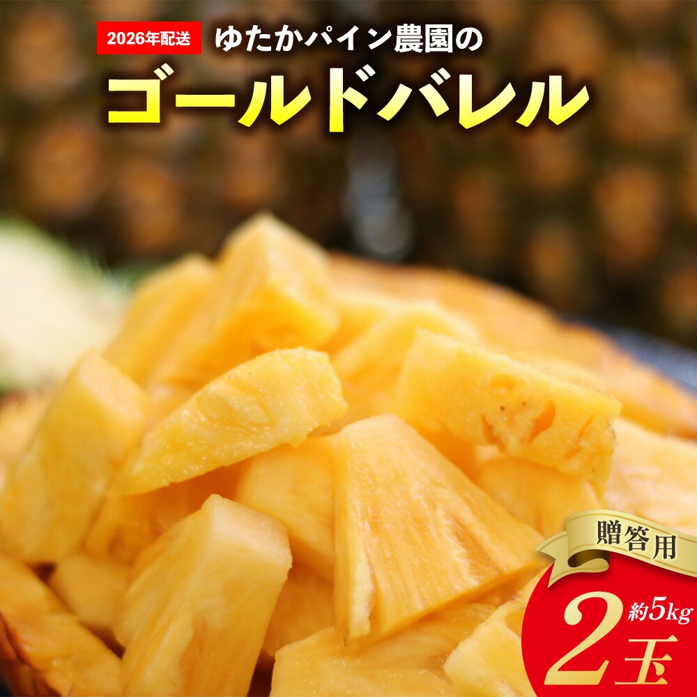 【ふるさと納税】ゆたかパイン農園のゴールドバレル 2玉（贈答用）約5kg 2026年発送 沖縄県産 東村 パイナップル ジューシー 希少 高級フルーツ 南国フルーツ 国産フルーツ 農家直送 パイン 贈答用 贈り物 おすすめ お土産 人気 やんばる 大自然 南国気分 沖縄本島北部