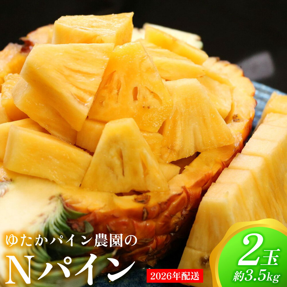 ゆたかパイン農園のNパイン 2玉(約3.5kg) 2026年発送 沖縄県産 東村 パイナップル ジューシー 希少 高級フルーツ 南国フルーツ 国産フルーツ 農家直送 パイン 果物 贈り物 おすすめ お土産 人気 やんばる 大自然 南国気分 沖縄本島北部