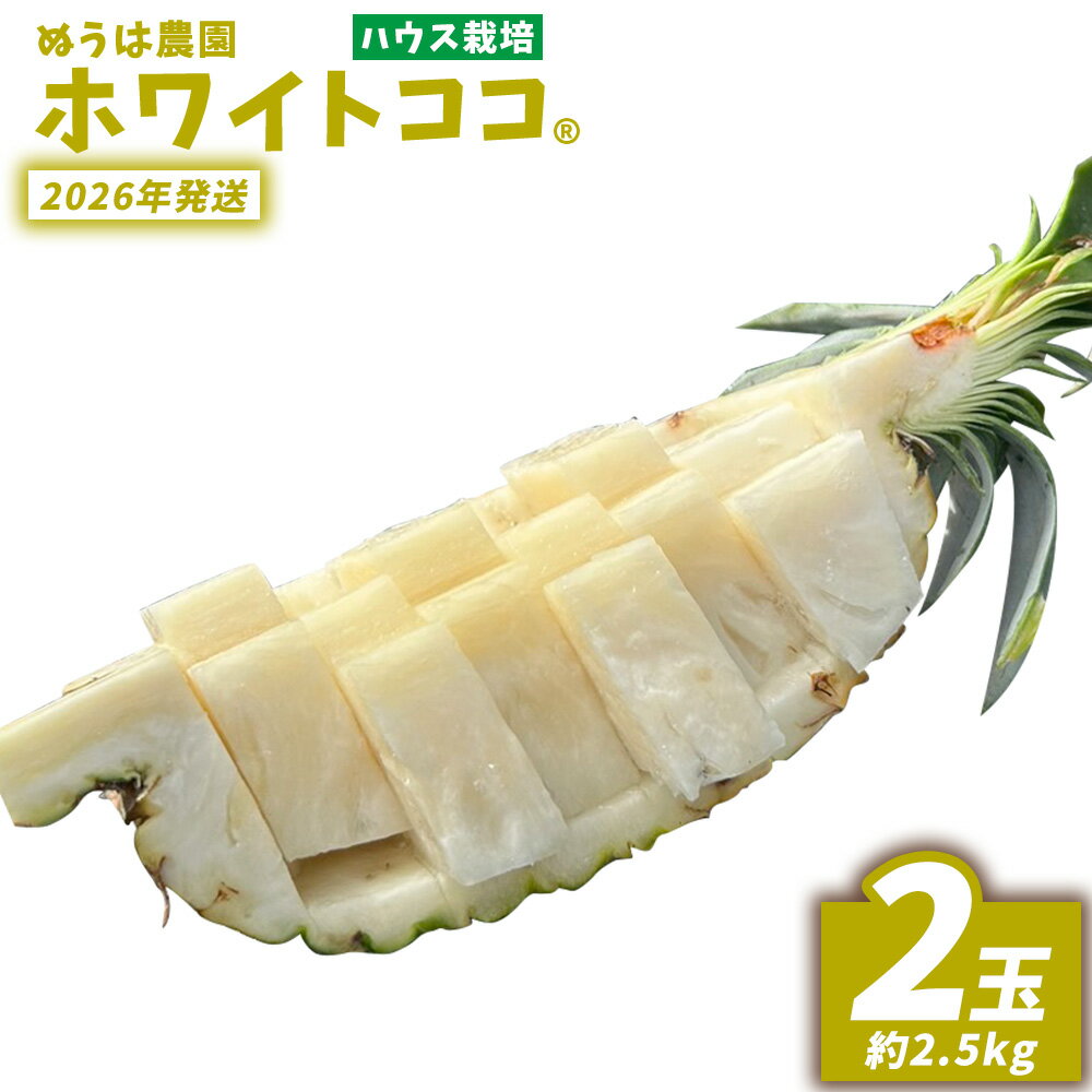 ハウス栽培 ホワイトココ 2玉(約2.5kg) 2026年発送 沖縄県産 東村 ゆがふパイン ジューシー 希少 高級フルーツ 南国フルーツ 国産フルーツ 農家直送 パイン 果物 贈り物 おすすめ お土産 人気 やんばる 大自然 南国気分 沖縄本島北部