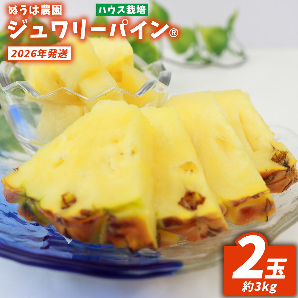 ハウス栽培 ジュワリーパイン 2玉(約3kg) 2026年発送 沖縄県産 東村 パイナップル ジューシー 希少 高級フルーツ 南国フルーツ 国産フルーツ 農家直送 パイン 果物 贈り物 おすすめ お土産 人気 やんばる 大自然 南国気分 沖縄本島北部