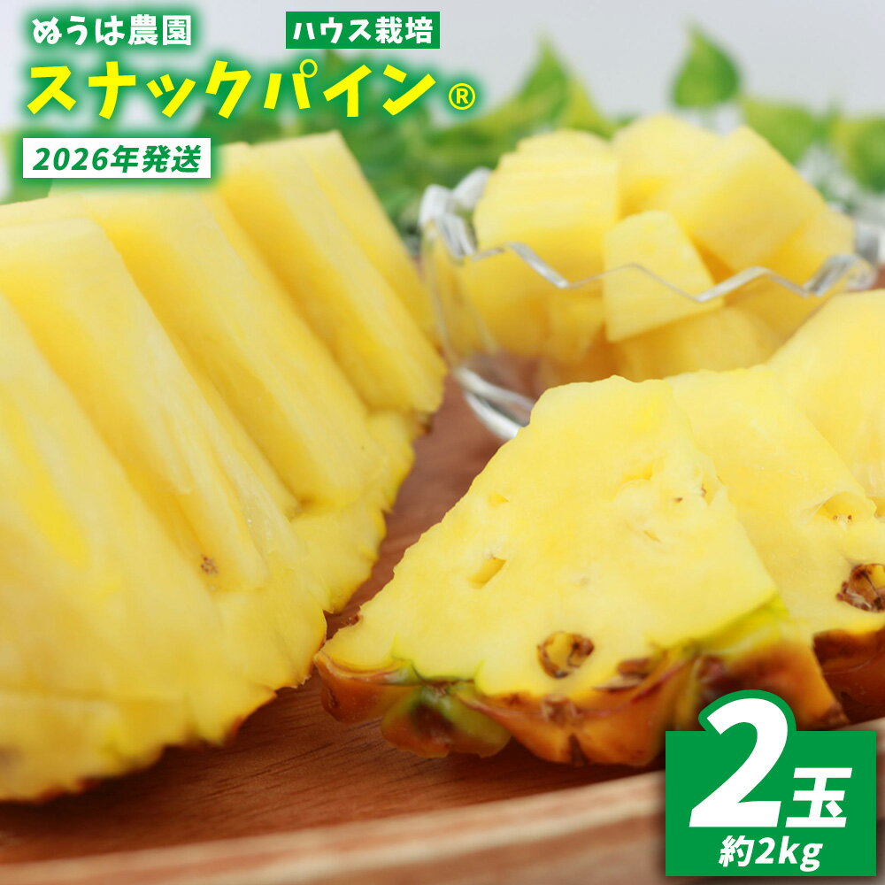 ハウス栽培 スナックパイン 2玉(約2kg) 2026年発送 沖縄県産 東村 パイナップル ジューシー 希少 高級フルーツ 南国フルーツ 国産フルーツ 農家直送 パイン 果物 贈り物 おすすめ お土産 人気 やんばる 大自然 南国気分 沖縄本島北部