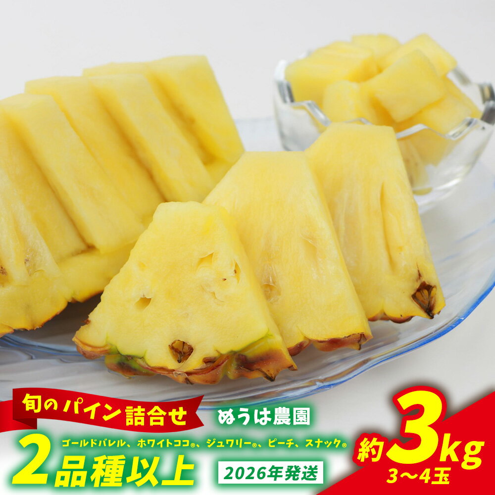 農家お任せ 旬のパイン詰合せ 2品種以上 3〜4玉(約3kg) 2026年発送 沖縄県産 東村 パイナップル ジューシー 希少 高級フルーツ 南国フルーツ 国産フルーツ 農家直送 パイン 果物 贈り物 おすすめ お土産 人気 やんばる 大自然 南国気分 沖縄本島北部