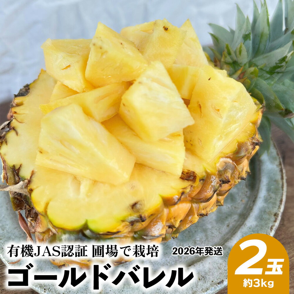 【ふるさと納税】有機JAS認証圃場で栽培 ゴールドバレル 2玉（約3kg） 2026年発送 沖縄県産 東村 パイナップル ジューシー 希少 高級フルーツ 南国フルーツ 国産フルーツ 農家直送 パイン 果物 贈り物 おすすめ お土産 人気 やんばる 大自然 南国気分 沖縄本島北部