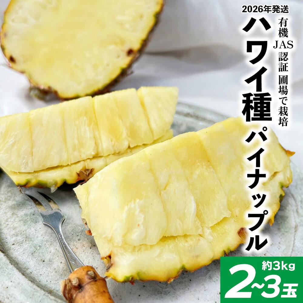 【ふるさと納税】有機JAS認証圃場で栽培 ハワイ種パイナップル 2～3玉（約3kg） 2026年発送 沖縄県産 東村 パイナップル ジューシー 希少 高級フルーツ 南国フルーツ 国産フルーツ 農家直送 パイン 果物 贈り物 おすすめ お土産 人気 やんばる 大自然 南国気分