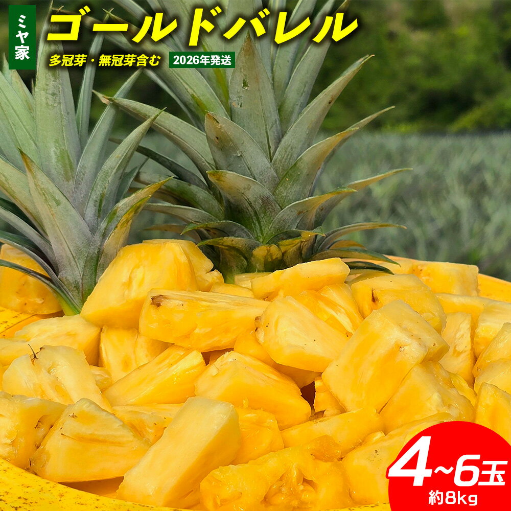 【ふるさと納税】ミヤ家 ゴールドバレル 4～6玉（約8kg）多冠芽・無冠芽含む 2026年発送 沖縄県産 東村 パイナップル ジューシー 希少 高級フルーツ 南国フルーツ 国産フルーツ 農家直送 パイン ゴールドバレル 贈り物 おすすめ お土産 人気 やんばる 大自然 南国気分