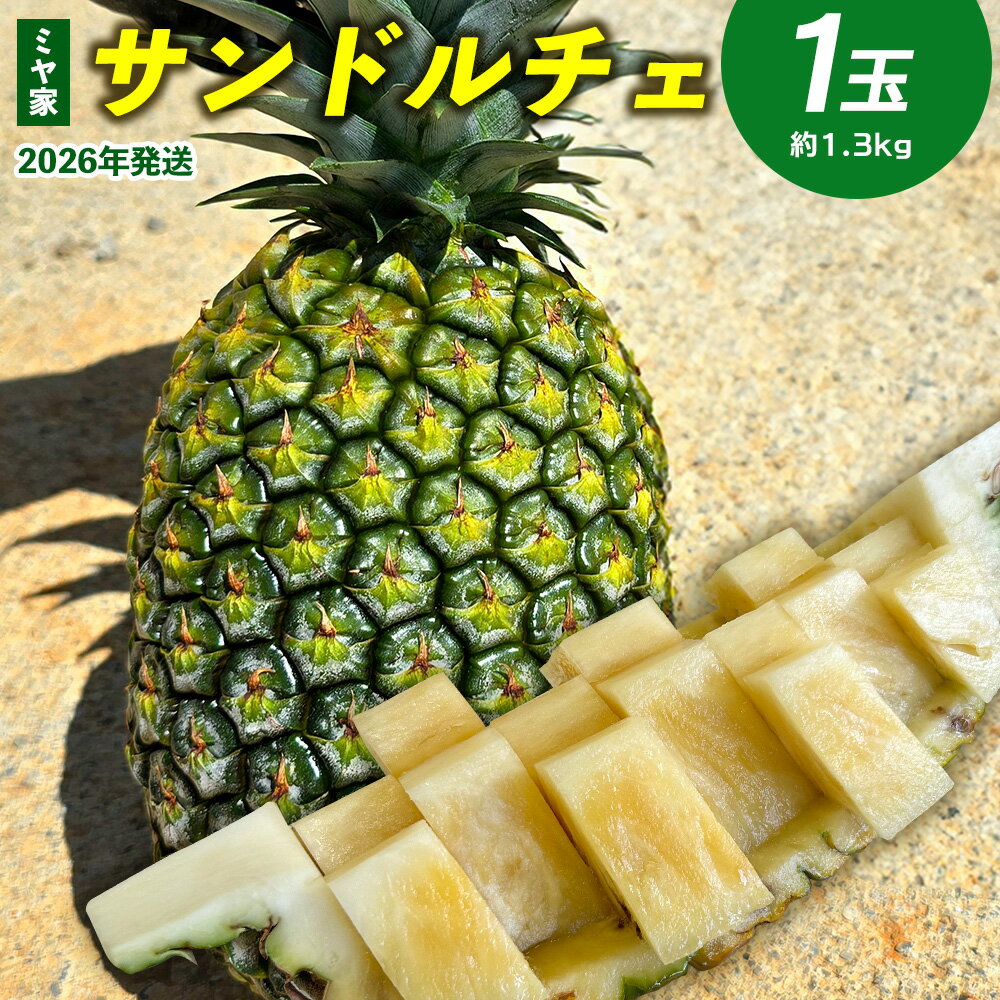 ミヤ家 サンドルチェ 1玉(約1.3kg) 2026年発送 沖縄県産 東村 パイナップル ジューシー 希少 高級フルーツ 南国フルーツ 国産フルーツ 農家直送 パイン サンドルチェ 贈り物 おすすめ お土産 人気 やんばる 大自然 南国気分 沖縄本島北部