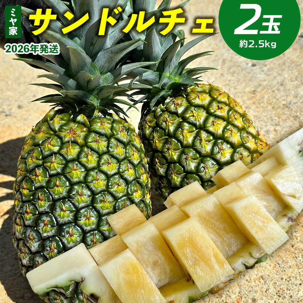 【ふるさと納税】ミヤ家 サンドルチェ 2玉（約2.5kg） 2026年発送 沖縄県産 東村 パイナップル ジューシー 希少 高級フルーツ 南国フルーツ 国産フルーツ 農家直送 パイン サンドルチェ 贈り物 おすすめ お土産 人気 やんばる 大自然 南国気分 沖縄本島北部