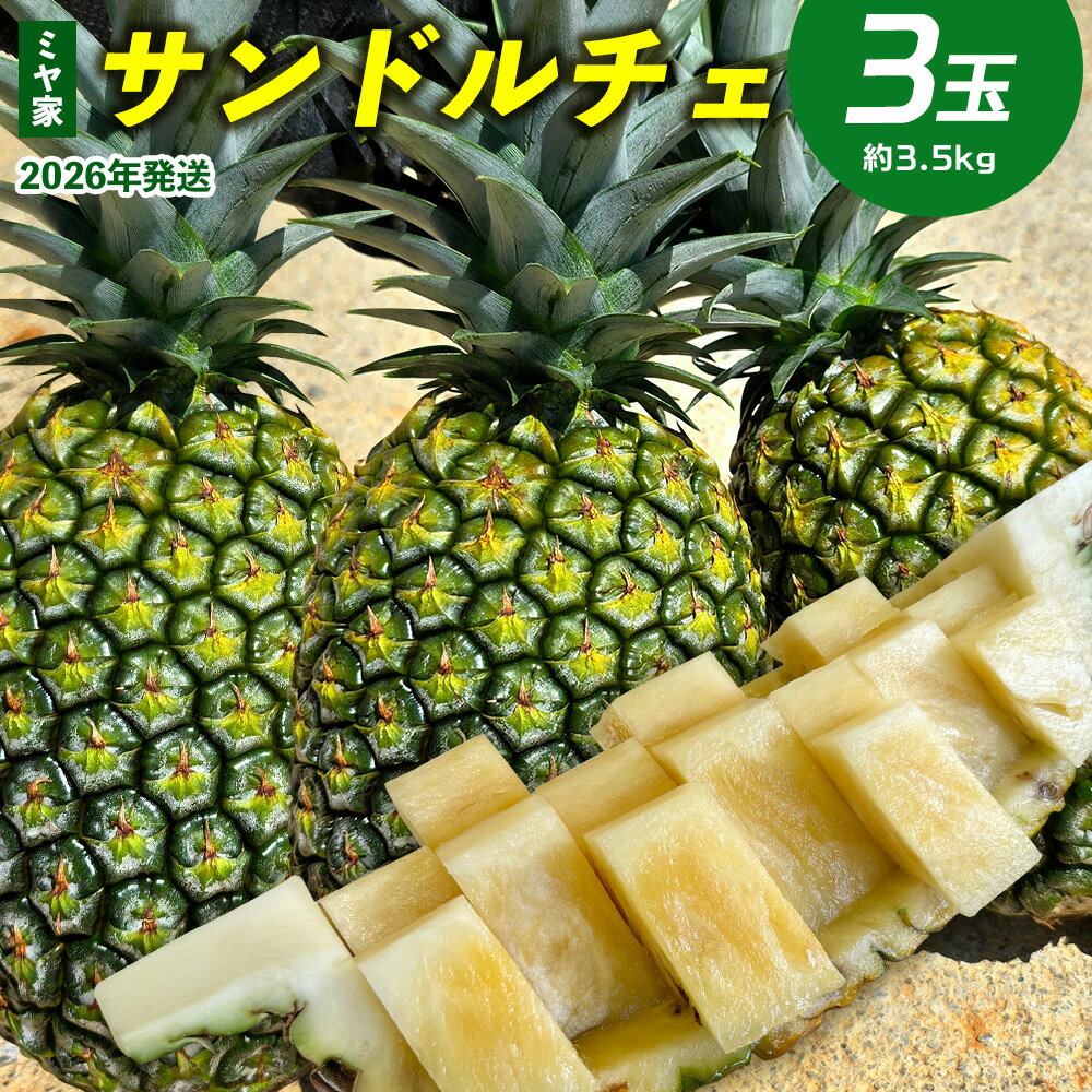 【ふるさと納税】ミヤ家 サンドルチェ 3玉（約3.5kg） 2026年発送 沖縄県産 東村 パイナップル ジューシー 希少 高級フルーツ 南国フルーツ 国産フルーツ 農家直送 パイン サンドルチェ 贈り物 おすすめ お土産 人気 やんばる 大自然 南国気分 沖縄本島北部