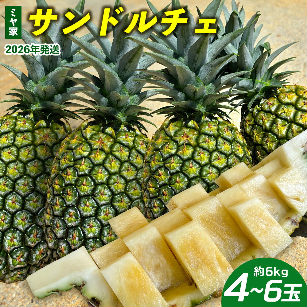 【ふるさと納税】ミヤ家 サンドルチェ 4～6玉（約6kg） 2026年発送 沖縄県産 東村 パイナップル ジューシー 希少 高級フルーツ 南国フルーツ 国産フルーツ 農家直送 パイン サンドルチェ 贈り物 おすすめ お土産 人気 やんばる 大自然 南国気分 沖縄本島北部
