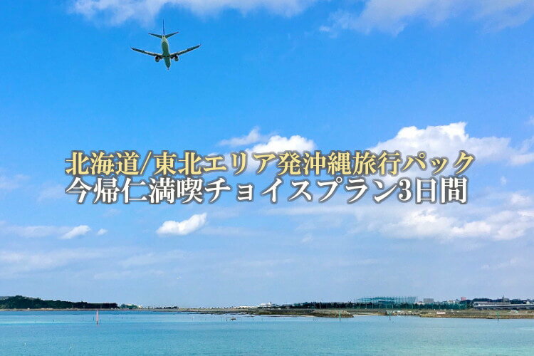 【ふるさと納税】＜北海道/東北エリア発＞沖縄旅行パック！今帰仁満喫チョイスプラン3日間！その2