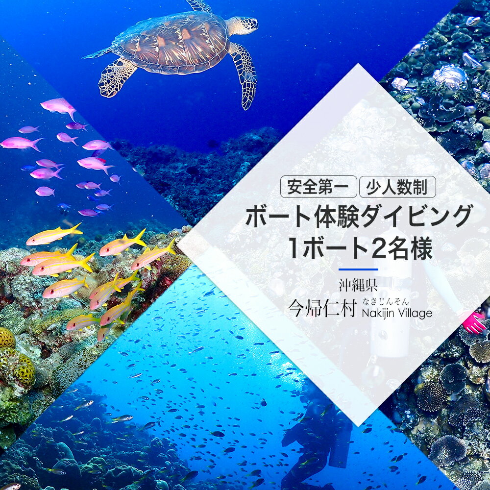 ボート体験ダイビング♪1ボート2名様