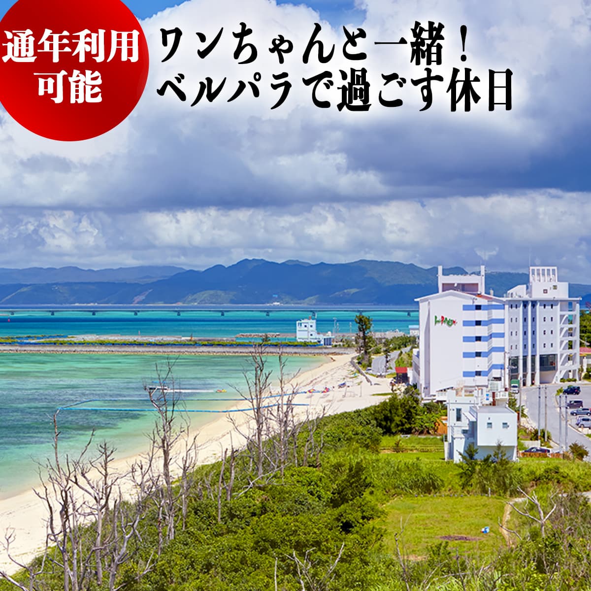 楽天沖縄県今帰仁村【ふるさと納税】＜＜繁忙期利用可能！！＞＞ ワンちゃんと一緒！ベルパラで過ごす休日　ペア1泊朝食付き（沖縄県 今帰仁村 リゾートホテル・ベル・パライソ）