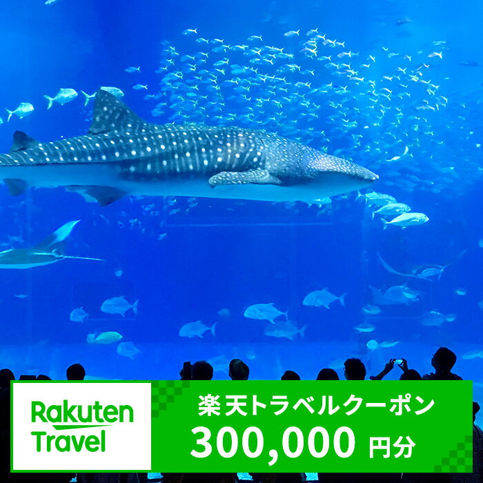 【ふるさと納税】沖縄県本部町の対象施設で使える楽天トラベルクーポン 寄付額1,000,000円のサムネイル