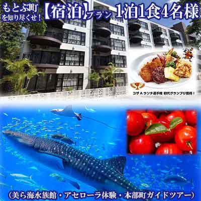 もとぶ町を知り尽くせ！【宿泊】プラン　1泊1食4名（美ら海水族館・アセローラ体験・本部町ガイドツアー）