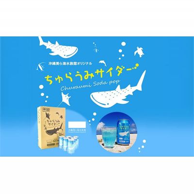 【ふるさと納税】沖縄美ら海水族館オリジナル「ちゅらうみサイダー」350ml×24本