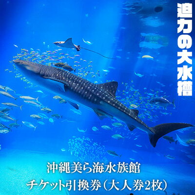 【ふるさと納税】【迫力の大水槽】沖縄美ら海水族館 チケット引換券＜大人券2枚＞