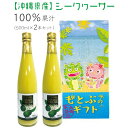 【ふるさと納税】シークヮーサー 2本セット 沖縄 おきなわ 本部町 ドリンク 飲料 シークワーサー 沖縄県産 ジュース おすすめ 人気 贈答 ギフト プレゼント...