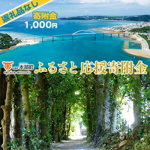 【ふるさと納税】【返礼品なし】沖縄県本部町ふるさと応援寄附金 1000円 寄附のみの応援 寄附のみ 返礼品なし 返礼品無し 御礼品なし 御礼品無し