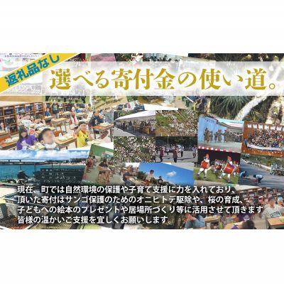 【ふるさと納税】【返礼品なし】沖縄県本部町ふるさと応援寄附金 2000円 寄附のみの応援 寄附のみ 返礼品なし 返礼品無し　御礼品なし　御礼品無し